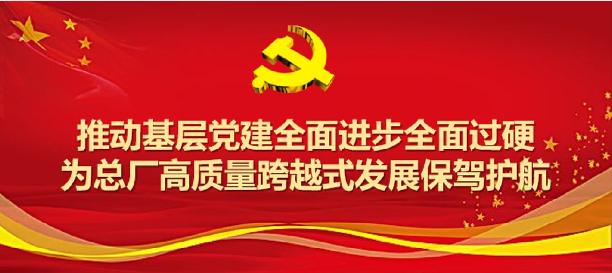 36365官网圆满完成2019年度党支部事情及党支部书记考评事情