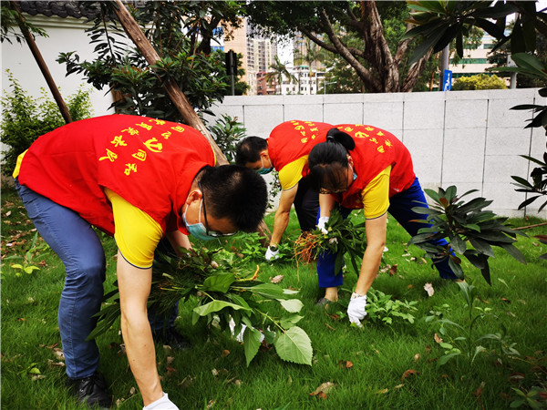 36365线路检测中心(中国)有限公司