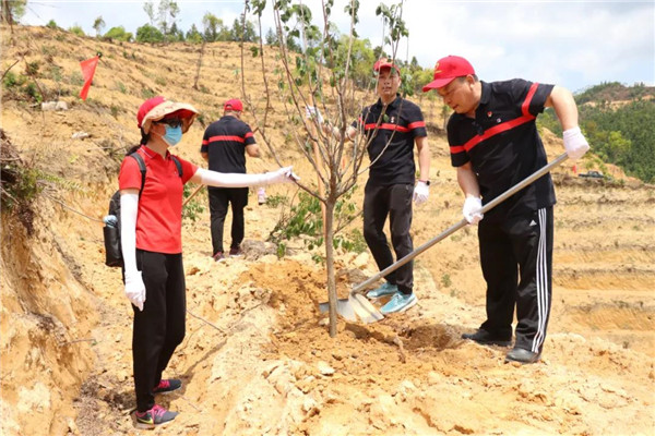 36365线路检测中心(中国)有限公司