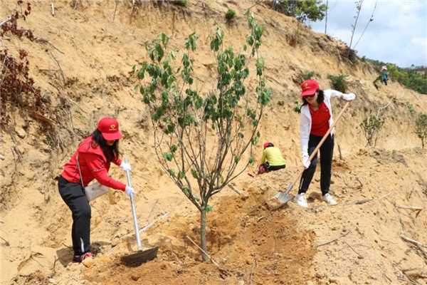 36365线路检测中心(中国)有限公司