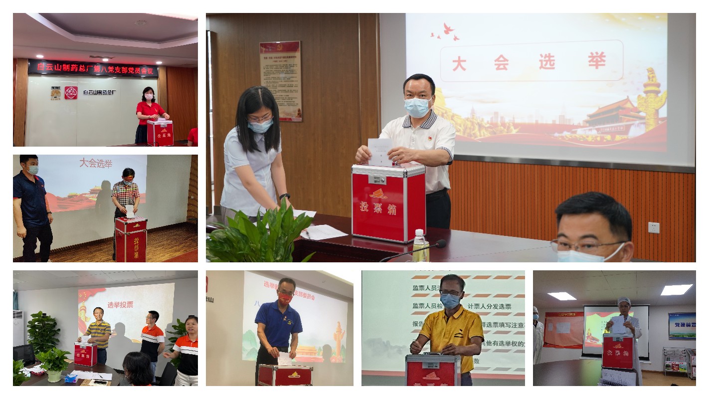 36365官网各党支部圆满完成换届选举事情