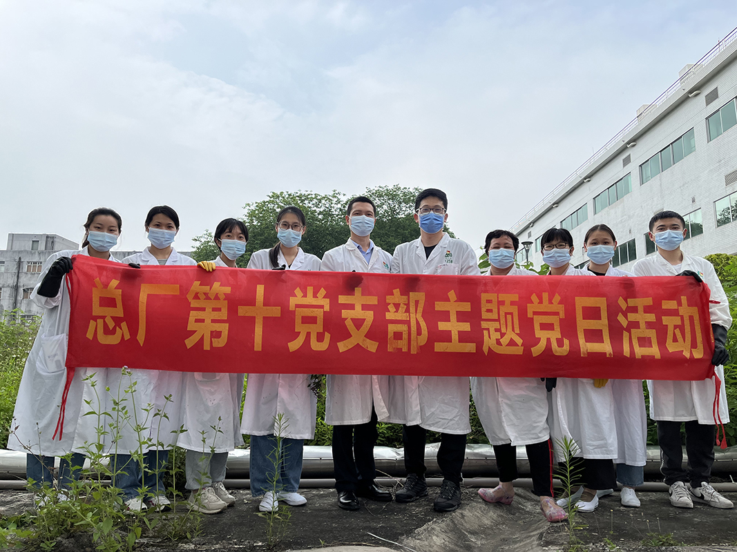 抵御风雨的青年力量——第十党支部开展主题党日运动