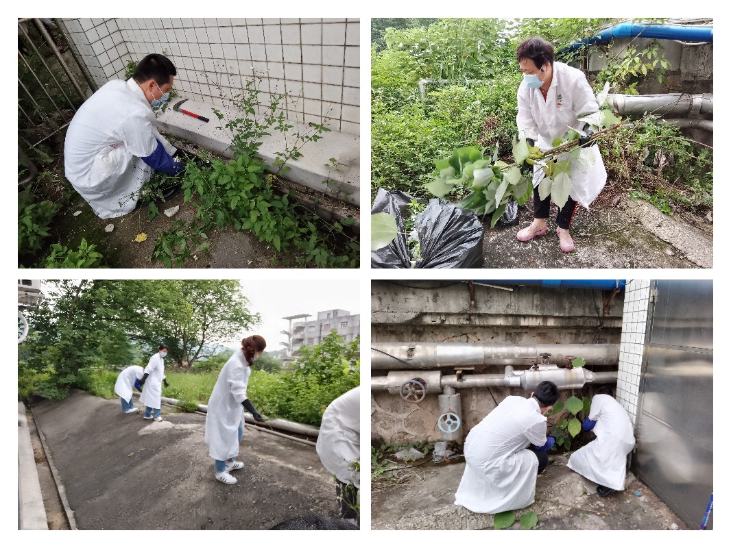 36365线路检测中心(中国)有限公司