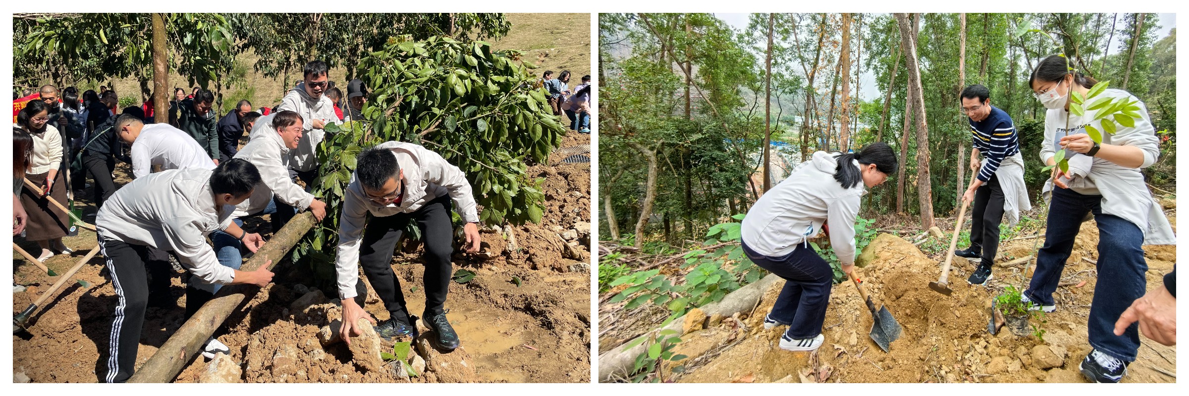 36365线路检测中心(中国)有限公司