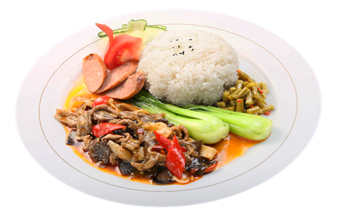 36365�����������ӿ����ʳԤ�Ʋ�